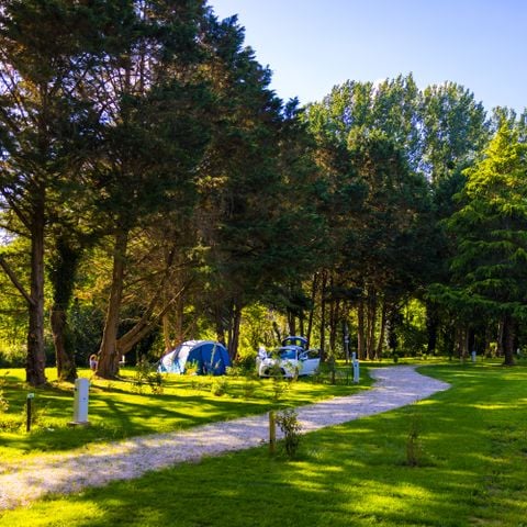 STAANPLAATS - voor tenten, caravans en campers