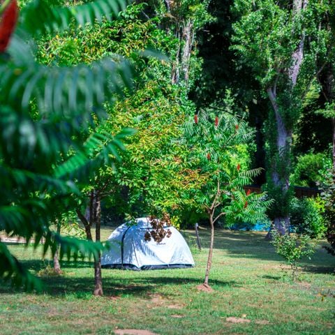 Pitch - Pitches for tents, caravans and motorhomes PMR with electricity