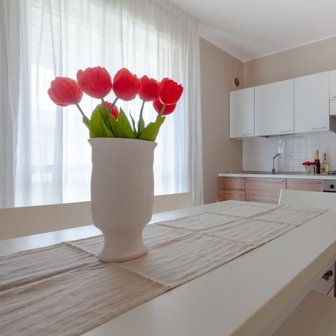 APPARTEMENT 4 personen - BILO