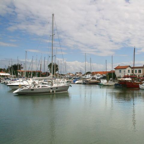 VVF Villages - Ars Ile de Re - Ars en Re - Camping Charente-Maritime - Image N°6