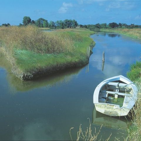 VVF Villages - Ars Ile de Ré - Ars en Ré - Camping Charente-Maritime - Image N°2
