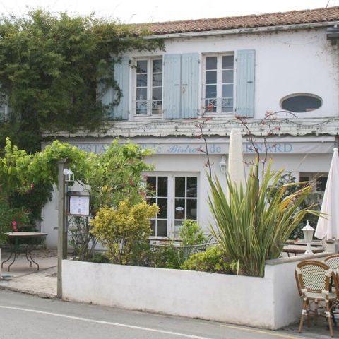 VVF Villages - Ars Ile de Re - Ars en Re - Camping Charente-Maritime - Image N°5