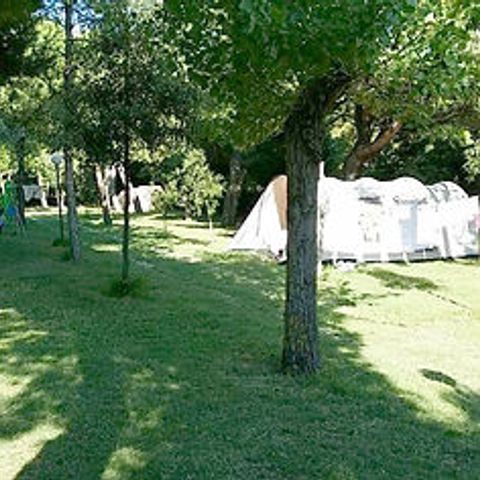 PARCELA - Piazzola XL