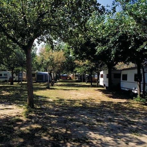 Kampeerplaats - Tent, caravan of camper