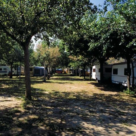 PARCELA - Tienda de campaña, caravana o autocaravana