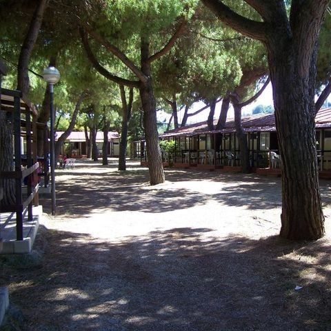 Bungalow 5 personen - Tipo C