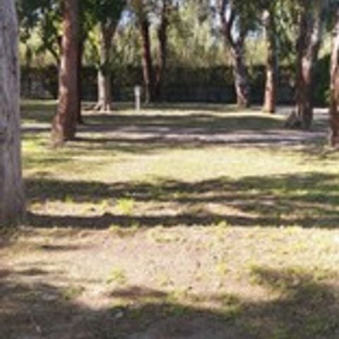 EMPLACEMENT - 2 adultes + 1 voiture + 1 tente 2 personnes + électricité