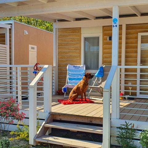 MOBILE HOME 6 people - Glam (pets allowed)