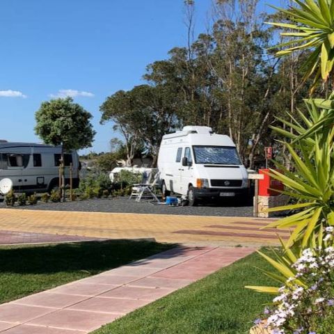 PIAZZOLA - Pece ** + acqua