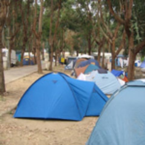 Kampeerplaats - Parcela *
