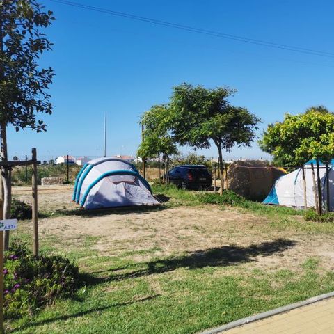 EMPLACEMENT - Parcela *