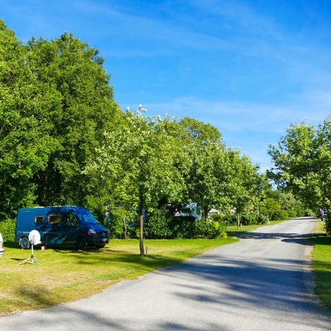 Stellplatz - Stellplatz