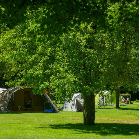 Stellplatz - Stellplatz