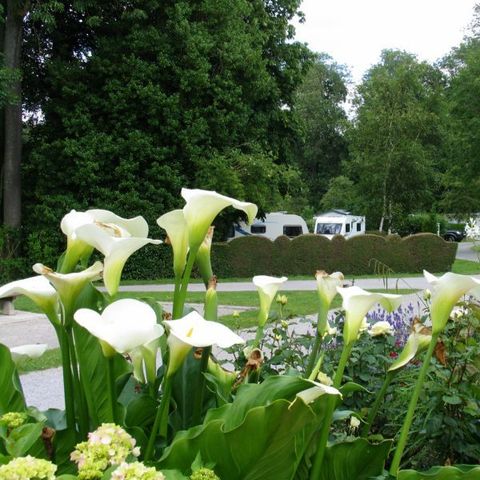 Stellplatz - Stellplatz