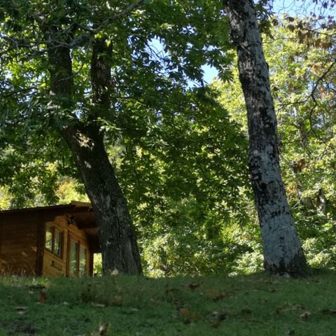 BUNGALOW 4 personnes - Bungalow 4 personnes