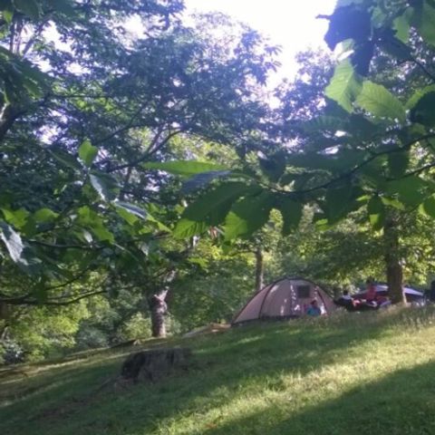 Kampeerplaats - Tent