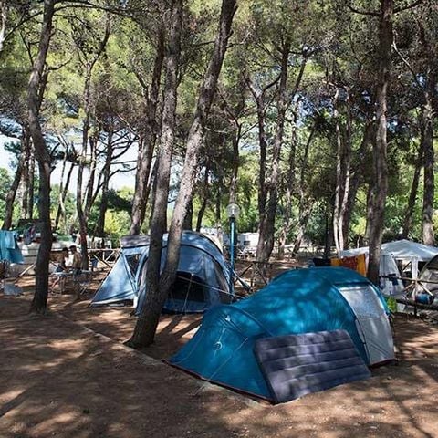 STAANPLAATS - Canadese tent