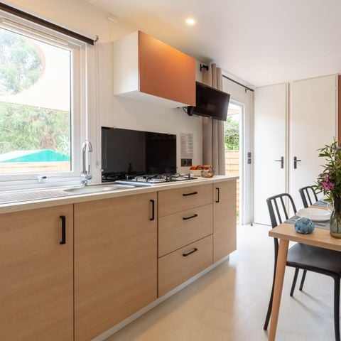 MOBILHOME 4 personnes - Palmier