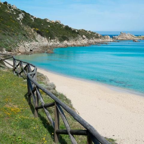 Résidence Le Pavoncelle - Camping Olbia-Tempio - Image N°5