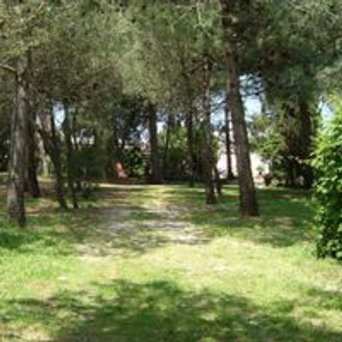 PLOT - Motorhome or caravan with electricity and loading/unloading service included