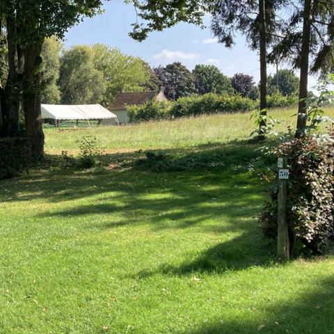 STAANPLAATS - + 1 voertuig of camper