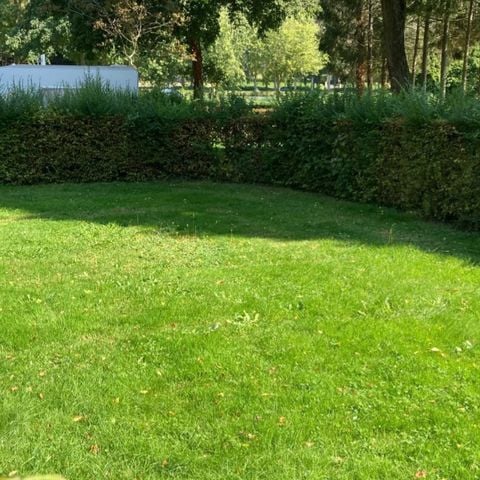 EMPLACEMENT - + 1 véhicule ou camping car 