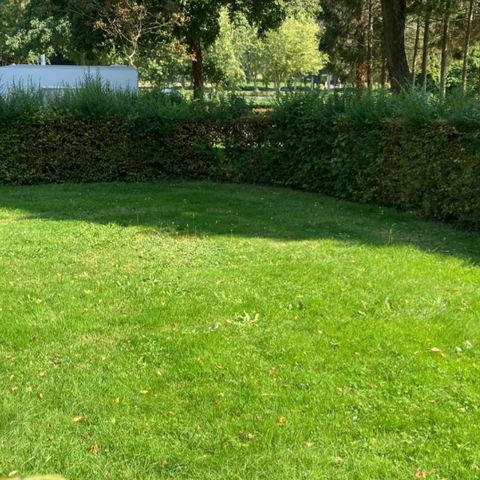 STAANPLAATS - + 1 voertuig of camper