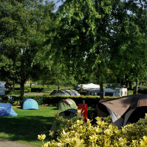 Kampeerplaats - Tent / caravan bestaande uit 1 voertuig + 2 personen