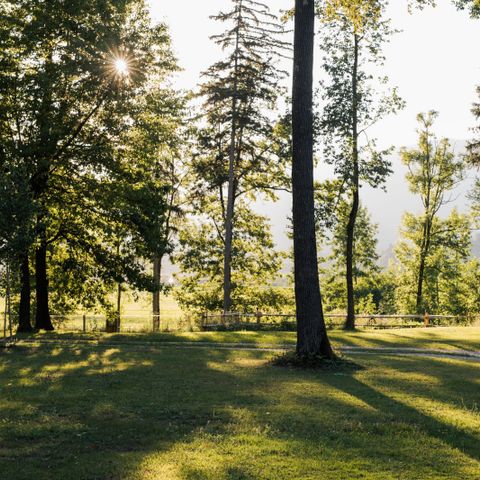EMPLACEMENT - Pour tente avec vue montagne et électricité
