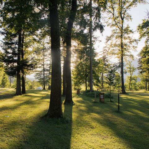 Stellplatz - Für Zelt mit Bergblick und Strom