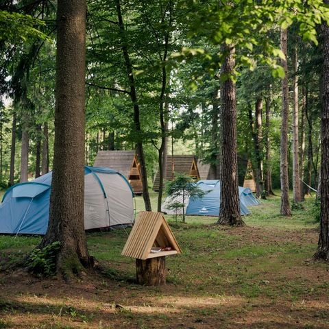 TENTE 4 personnes - Tente avec lit et matelas