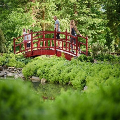 Forest Camping Mozirje - Camping Slovenië - Afbeelding N°2