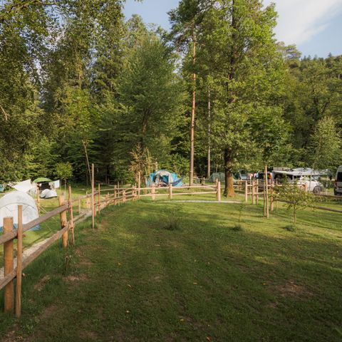 STAANPLAATS - Tentplaats - Rivierzicht