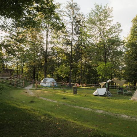 Kampeerplaats - Tentplaats - Rivierzicht