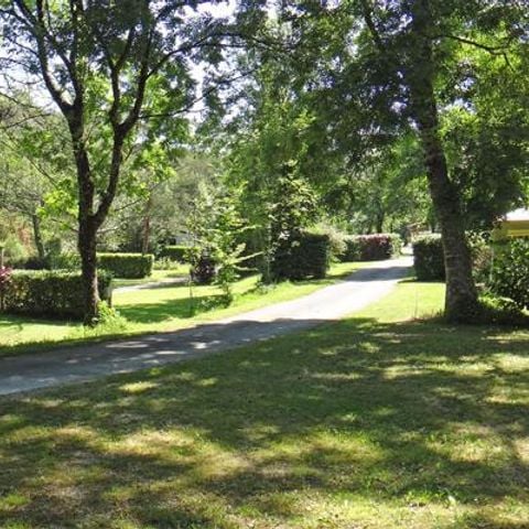 Stellplatz - Stellplatz (Größe L) +Strom 10A +Auto