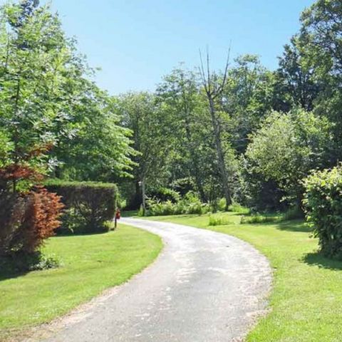 PARCELA - Paso (Talla XL) + electricidad 10A +coche