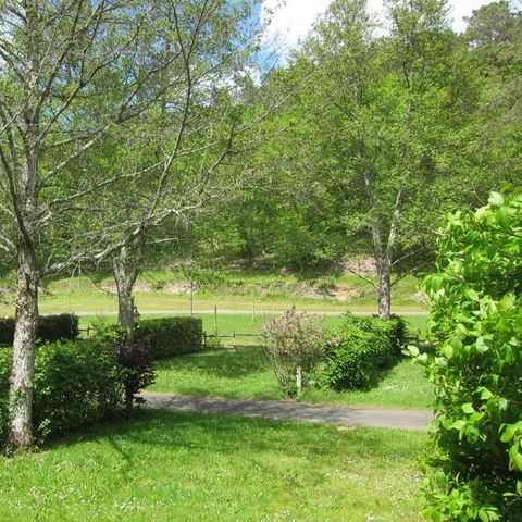 PIAZZOLA - Piazzola (taglia XXL) + elettricità 10A +autovettura