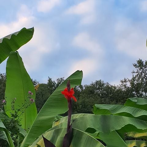 Camping Moulin de David - Camping Dordogne - Image N°5