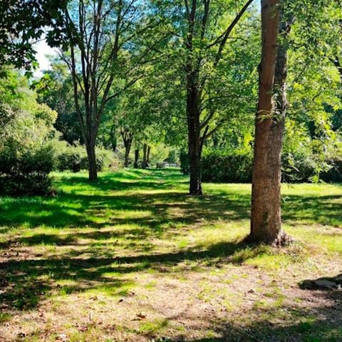 Camping Vert Lavande - Camping Aveyron - Image N°6