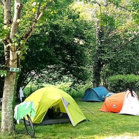 PLOT - Bare pitch for tent + 1 vehicle