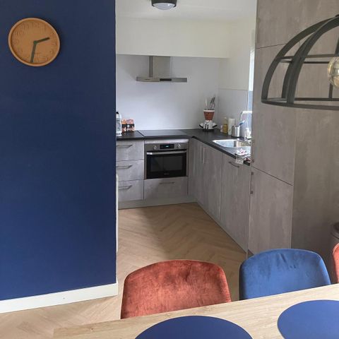 Bungalow 6 Personen - Das Broeckhuysje