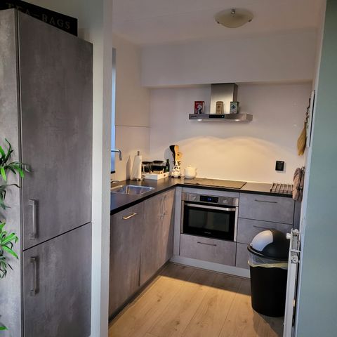 BUNGALOW 6 personnes - le géant flamand