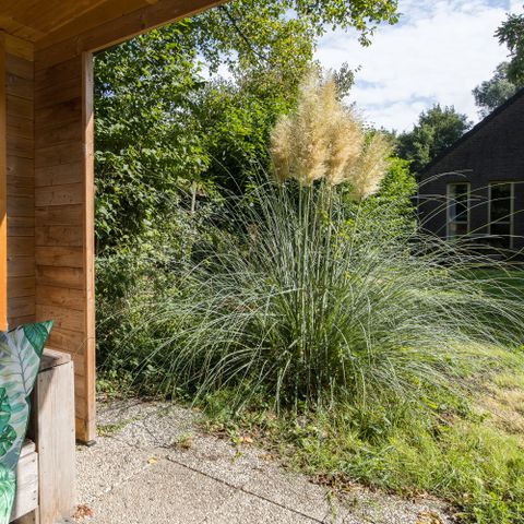 BUNGALOW 6 people - Forest 209