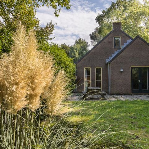 Bungalow 6 personen - Forest 209