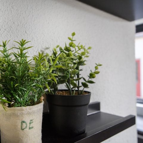 BUNGALOW 6 people - Lakeside 61