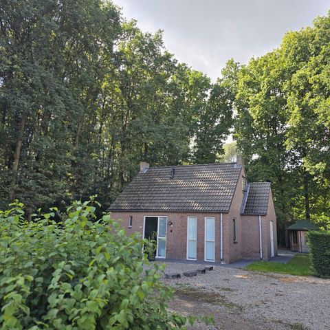 BUNGALOW 6 personas - Sauna Forest 117