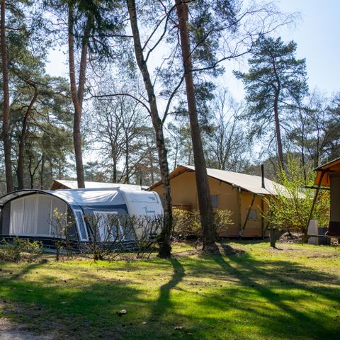 Stellplatz - Komfort