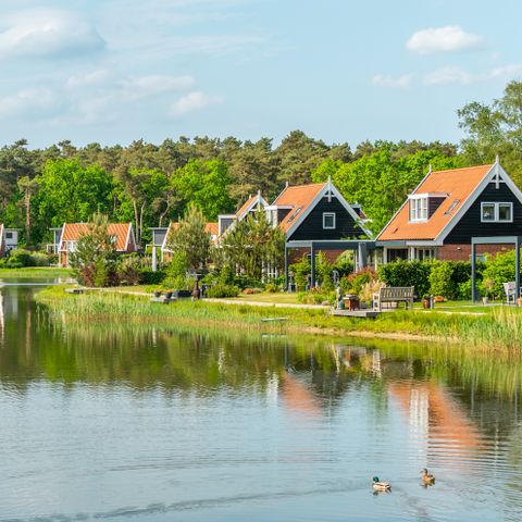 EuroParcs De Zanding - Camping Ede - Image N°2