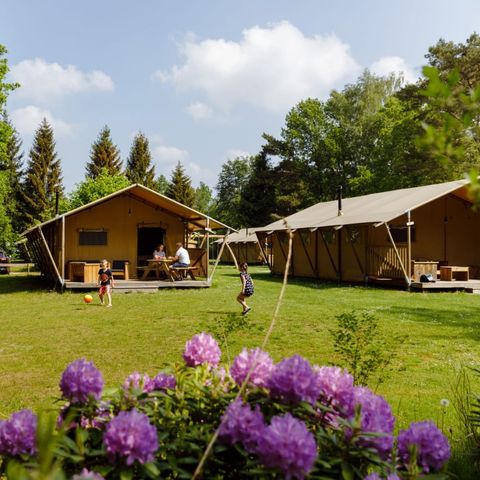 Canvas and wooden tent 7 persons - Wold Lodge safari tent