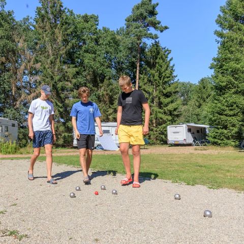 Kampeerplaats - RCN de Roggeberg | Camperplaats (inclusief 2 personen)